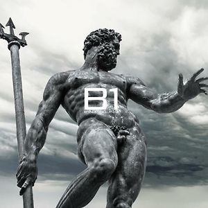 Binariouno